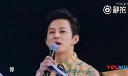 爆料杨洋何炅节目视频,精彩互动引网友热议