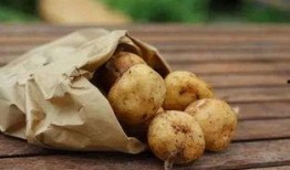 土豆最新爆料配方,独家爆料最新神奇配方，烹饪新境界！