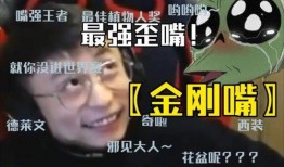 我是你九哥爆料视频,网络红人的崛起与争议