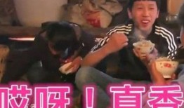 吃瓜娱乐人的主页在哪看,吃瓜娱乐人主页，一键掌握最新资讯！