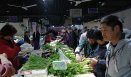 河南菜市场爆料新闻报道,新鲜食材与人间烟火气交织