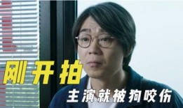 娱乐吃瓜君866,揭秘娱乐圈最新热点事件