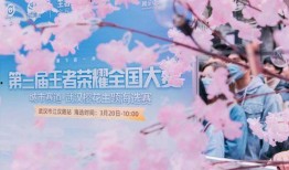 樱花千代王爆料了吗视频,独家内幕大公开
