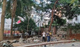 门口的花园最新爆料