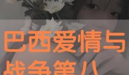 爱与战争中字在线观看,字里行间的情感纠葛与烽火岁月