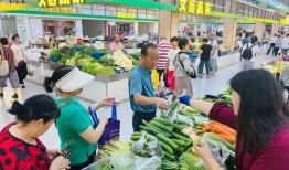 河南菜市场爆料新闻报道,新鲜食材与人间烟火气交织