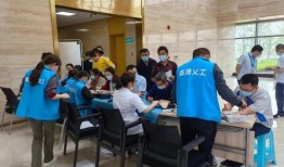 新礼盒时装爆料怎么做视频,视频制作攻略与创意亮点解析