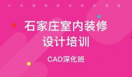 石家庄谈固最新爆料,石家庄城区发展新动向揭秘