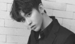 蔡徐坤爆料狗仔视频合集,一场关于隐私与尊重的较量