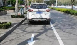 重庆停车爆料视频播放下载,下载量破百万！