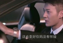 王柏川老婆爆料视频播放,揭秘背后真相