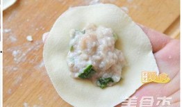 鲅鱼饺子爆料视频播放,揭秘制作过程与美味诱惑