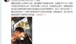爆料陈律刘聪视频大全最新,揭秘娱乐圈背后的真相与争议