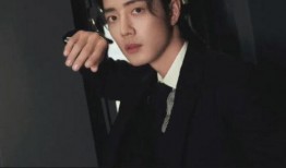 刘大锤爆料李易峰视频播放,播放量惊人引发热议