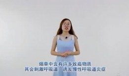 小鹿娱乐爆料,娱乐圈最新动态大揭秘