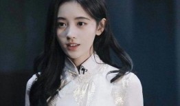 鞠婧祎网友爆料事件视频,真相揭秘与网络舆论风暴