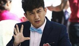 黄磊爆料吴秀波视频播放,真相背后引人深思