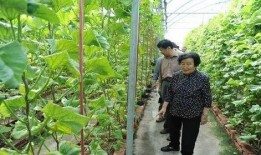 威远吃瓜最新事件爆料是真的吗,最新爆料真相揭秘