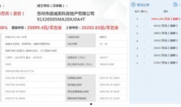 狮山最新爆料消息查询表,揭秘神秘项目进展与影响概览