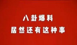 八卦娱乐爆料网官网,揭秘娱乐圈最新动态，独家爆料一网打尽！