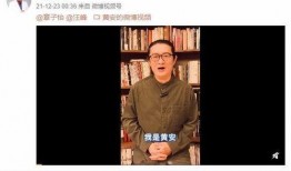 吃瓜爆料汪峰视频播放全集,吃瓜爆料视频全集深度解析