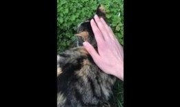 谁爆料杜冥鸦的视频播放