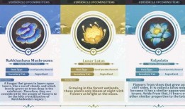 草神爆料视频网站,揭秘神秘力量背后的秘密