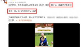 吃瓜爆料汪峰视频播放全集,吃瓜爆料视频全集深度解析