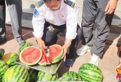 莱阳网红吃瓜事件视频,一场网络狂欢背后的真相揭秘
