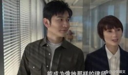 刘大锤爆料李易峰视频播放,播放量惊人引发热议