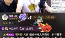 我是你九哥爆料视频,网络红人的崛起与争议