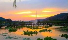 庆阳爆料风景视频播放网站,揭秘庆阳爆料风景视频网站魅力