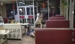 滕州探店爆料事件始末视频,揭秘网红美食背后的真相