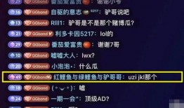 lpl大瓜爆料王思聪视频,揭秘电竞豪门背后的故事