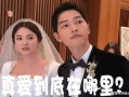 娱乐圈吃瓜那些事百度云,揭秘明星幕后真相与八卦风云