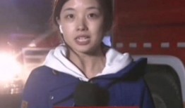 西安市女记者爆料新闻事件,揭秘西安重大新闻事件背后真相