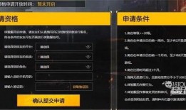 精英体验服新爆料攻略最新,独家解析与实战技巧