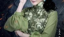 老九门电视剧在线观看免费,揭秘民国奇案，免费在线观看，探秘神秘家族传奇