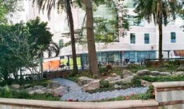 门口的花园最新爆料