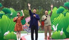 迪拜爆料新闻视频最新版,揭秘神秘事件背后的真相