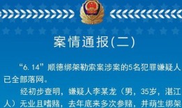 深圳坪山新闻爆料热线,倾听民声，守护平安的桥梁