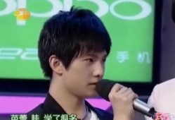 爆料杨洋何炅节目视频,精彩互动引网友热议