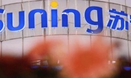 苏宁最新爆料新闻,揭秘神秘新品，引领科技潮流新风向