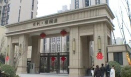太原保利爆料事件视频,揭露背后惊人真相