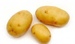 土豆最新爆料配方,独家爆料最新神奇配方，烹饪新境界！