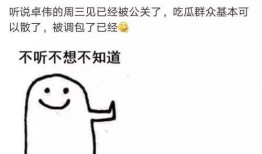 卓伟爆料璐璐视频大全集,璐璐视频大全集揭秘，真相与争议并存