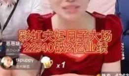 爆料彩虹夫妇视频大全集,视频大全集回顾