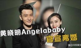 刘大锤爆料李易峰视频播放,播放量惊人引发热议