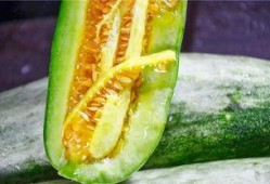 哪个网站可以吃网红的瓜,跟随哪个网站一网打尽热门八卦