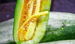 哪个网站可以吃网红的瓜,跟随哪个网站一网打尽热门八卦